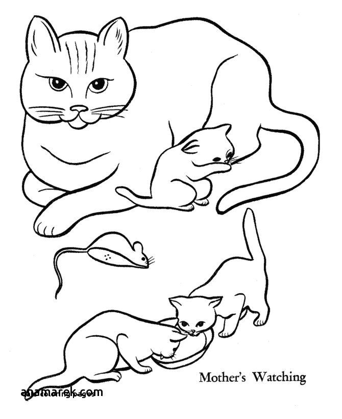 cats coloring pages dog and cat coloring pages luxury best od dog