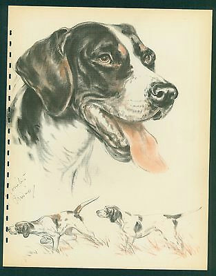 1944 diana thorne dog print pointer vintage book illustration 10 x 13 inch