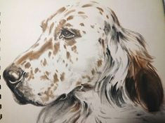 dog illustration vintage dog art animal print dog gift dog lover gift english setter diana thorne dogs dog portrait dog drawing wall art