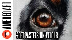 how to draw a dog s eye with soft pastels on velour paper easy step by s