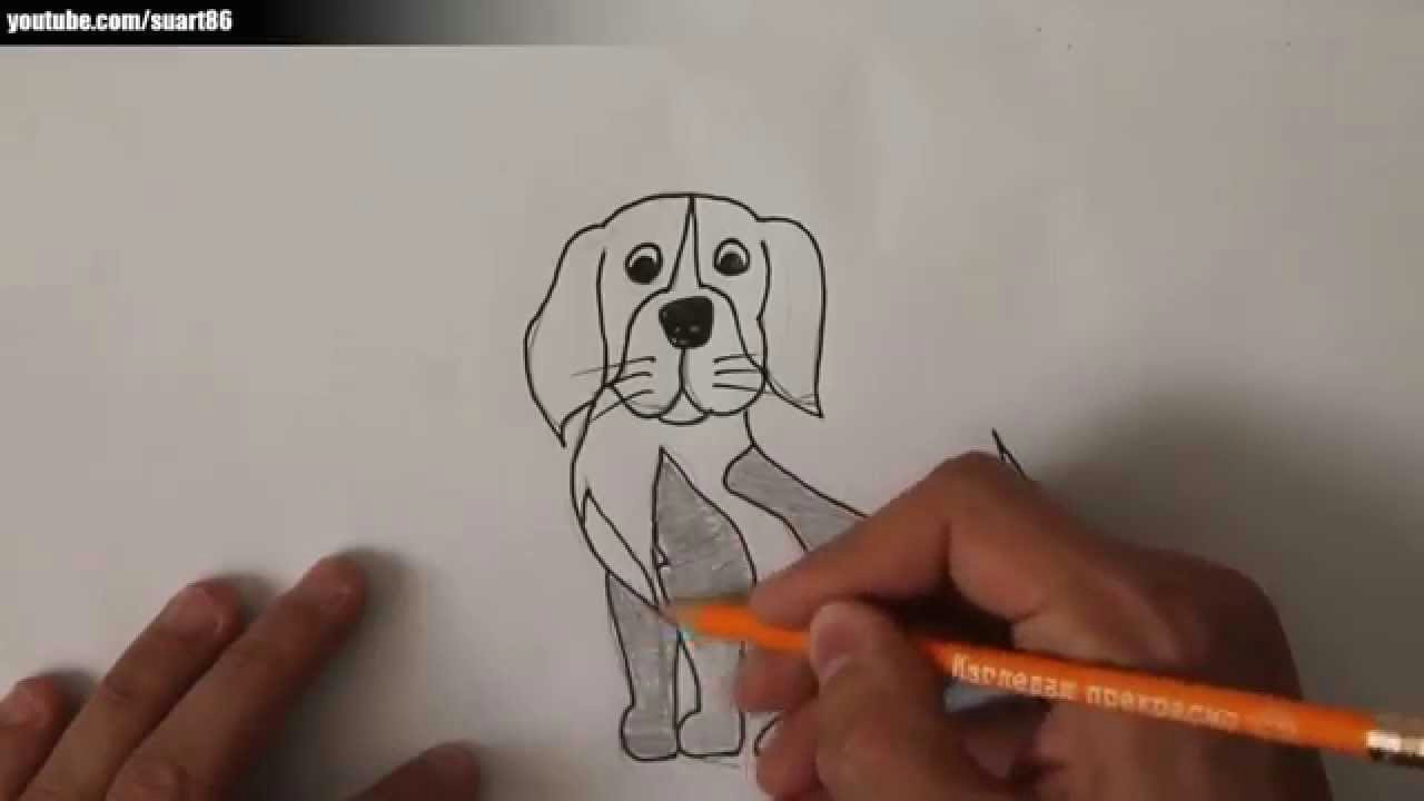 kako nacrtati psa
