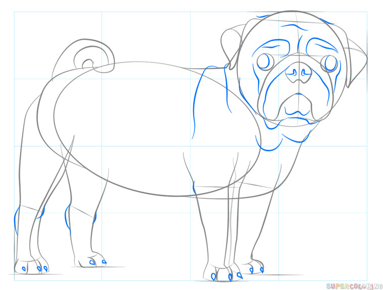 how to draw a pug dog step by step drawing tutorials for kids and beginners