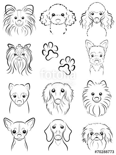 fotolia comi i e i i i e e i dog line drawing by keko ka e i e i e eµ e i i i i e i i e i i e i e i e e e i i e i i i e i i i c i e i e i