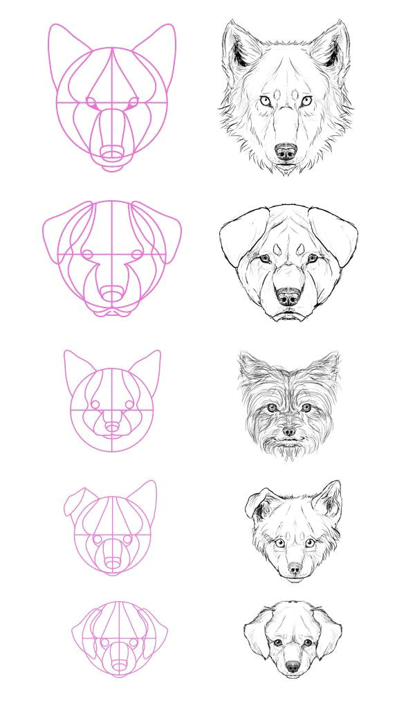 Drawing Dogs Heads Eine Exquisite tonne Hundereferenzen Um Den Text Der Groa Eren