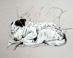 jack russell print terrier art print jack russell sketch jack russell drawing