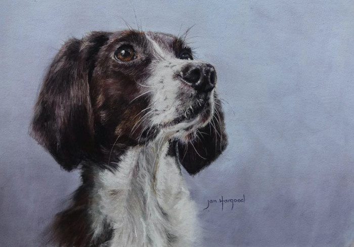 september s splendid pastels jan hargood love dogs unison and caran d ache pastels on pastelmat 12 x 15 in