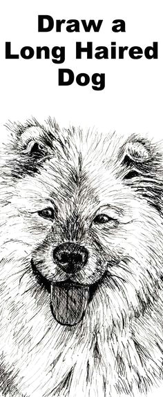 learn to draw long haired dogs with this pen and ink drawing lesson ink pen drawings