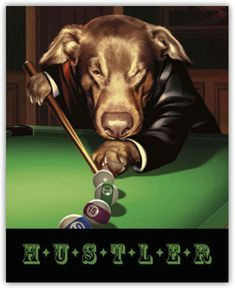 hustler lucky sharky ace by taylor set of 4 dogs playing poker pool art prints
