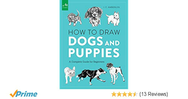 how to draw dogs and puppies a complete guide for beginners j c amberlyn 9781580934541 amazon com books