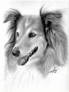 realistic pencil drawings of animals 22 pictures pencil drawings of animals animal sketches