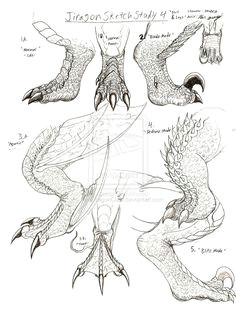 how to draw dragon claws jiragon arm and claw sketches dragon art dragon claw