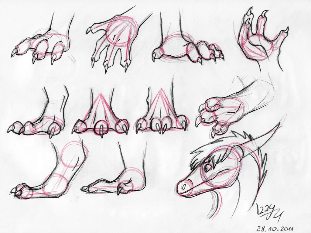 dragon hands and feet tutorial by izzyreddragon on deviantart