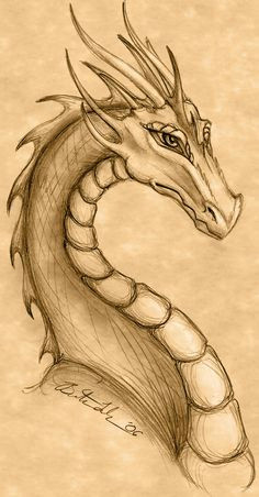 dragon drawing