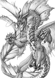 dragon drawing water dragon g dragon fantasy dragon fantasy art