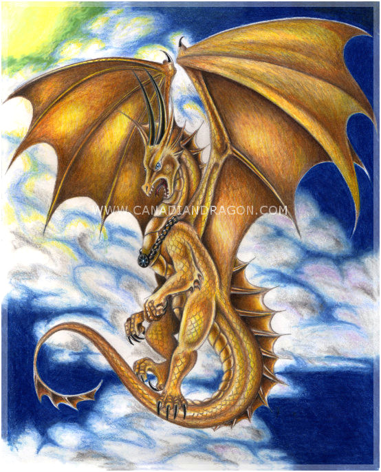 dragon drawings in color www pixshark com images