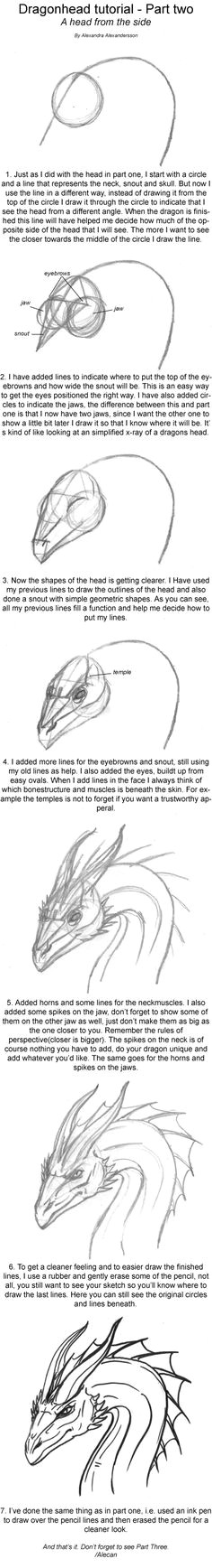 dragonhead tutorial part two dragon head drawingdragon