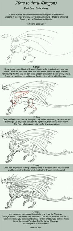 how to draw dragons part one by sheranuva this is also helpful for drawing dragons