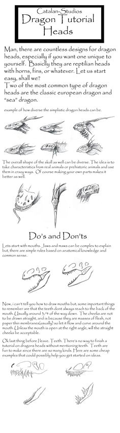 dragon tutorial chpt 2