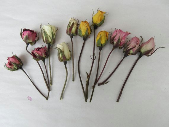 dried flowers dry mini rose bud stem bulk pressed dry floral bouquet romantic rose wedding card embe