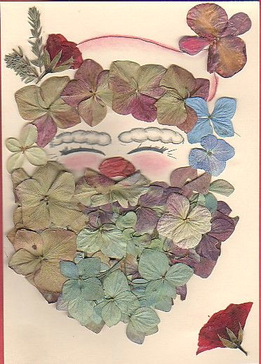 pressed hydrangias with pastel drawing of santa pastel drawing dried flowers flower designs
