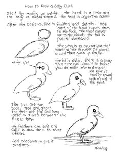 how to draw worksheets for young artist how to draw a baby duck worksheet