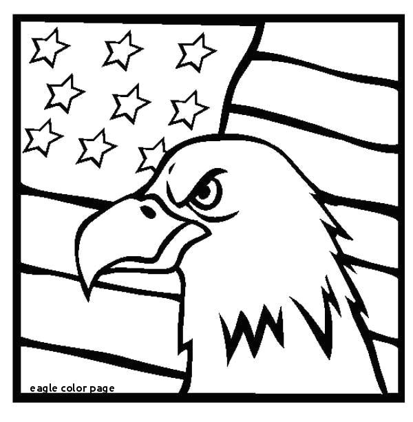 bald eagle coloring page luxury eagle color page veterans day coloring pages bald eagle hollywood of