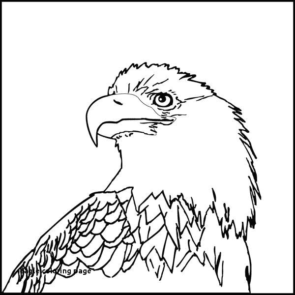 bald eagle coloring page lovely 25 eagle coloring page of bald eagle coloring page elegant unique
