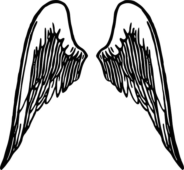 free image on pixabay wings angel feather winged wings wings angel wings clip art angel wings pictures