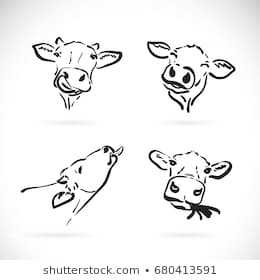 vector of cow head on white background farm animal cow icon