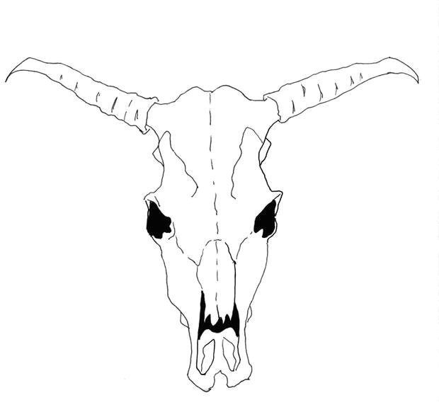 how to draw a cow skull for georgia o keeffe