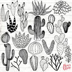 cactus clipart hand drawn cactus clipart vector cactus art