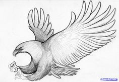 how to sketch an eagle in pencil draw an eagle bird step 8