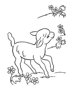 coloring pages animals farm animal coloring pages printable lamb sheep coloring page and