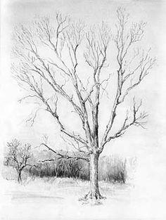 how to draw trees a very good step by step tutorial