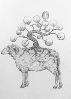 forest sheep drawing by tara tucker which was the base for the sculpture