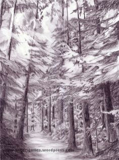 charcoal drawings pencil drawings jungle pattern drawing trees walk in the woods landscape drawings winter pictures environment concept