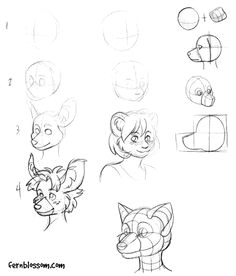 how to draw anthro heads draw furry how to draw furry art photoshop tutorials comics and manga tips