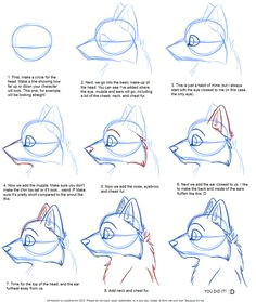 draw wolf furries for beginners together with deviantart how to draw canine heads together with anime wolf puppy furthermore how to draw anthro dragon also