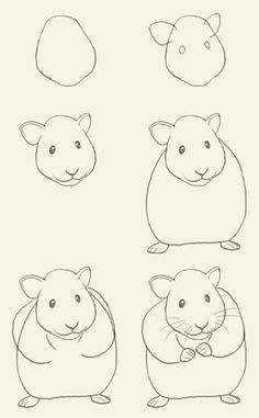 hamster drawing practice drawing lessons art lessons drawing tips drawing sketches