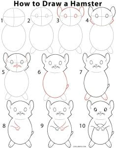 how to draw a hamster step by step instructions for drawing hamster for beginners and