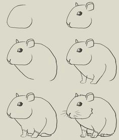 hamster drawing guide drawing projects drawing lessons drawing tips drawing stuff horse