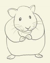 how to draw hamster basic drawing hamsters learn to draw wide feet