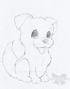 puppy sketch