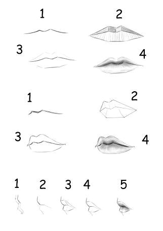 how to draw lips step by step for beginners google search
