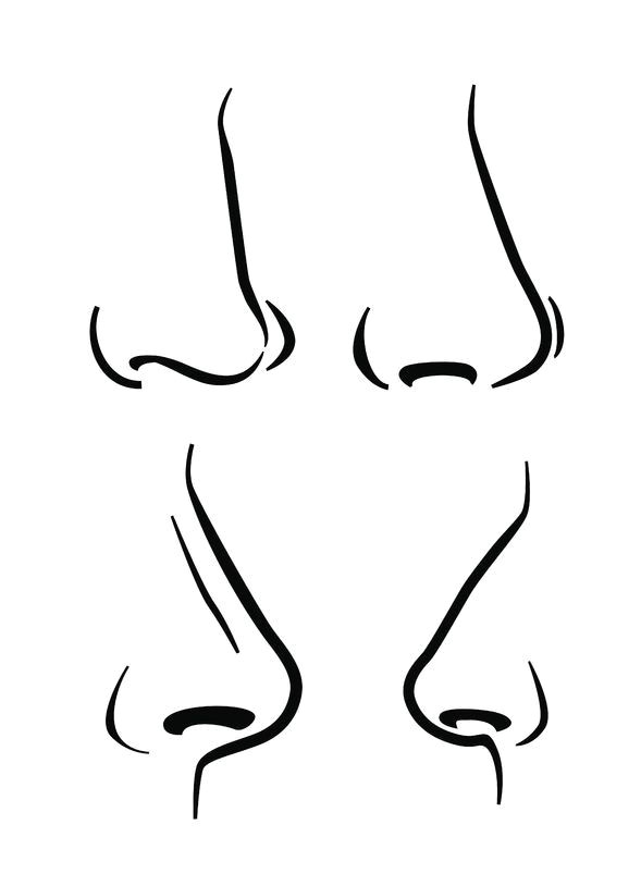 how to draw expressive noses www drawing made easy com noses drawing