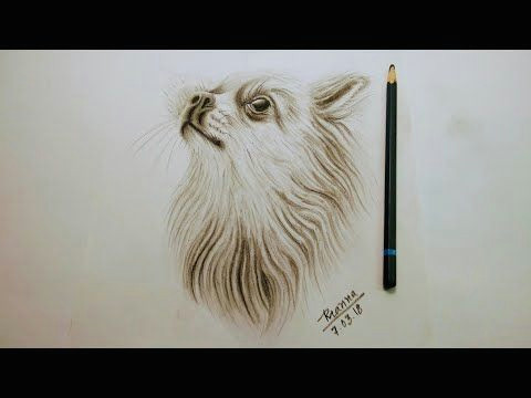 charcoal drawing tutorial cute dog drawing rainbow art by radhapada manna youtube