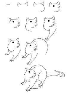 drawing rat learn how to draw a rat with simple step by step instructions