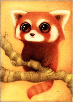 drawing red panda red pandas red panda cartoon deviantart drawings panda drawing