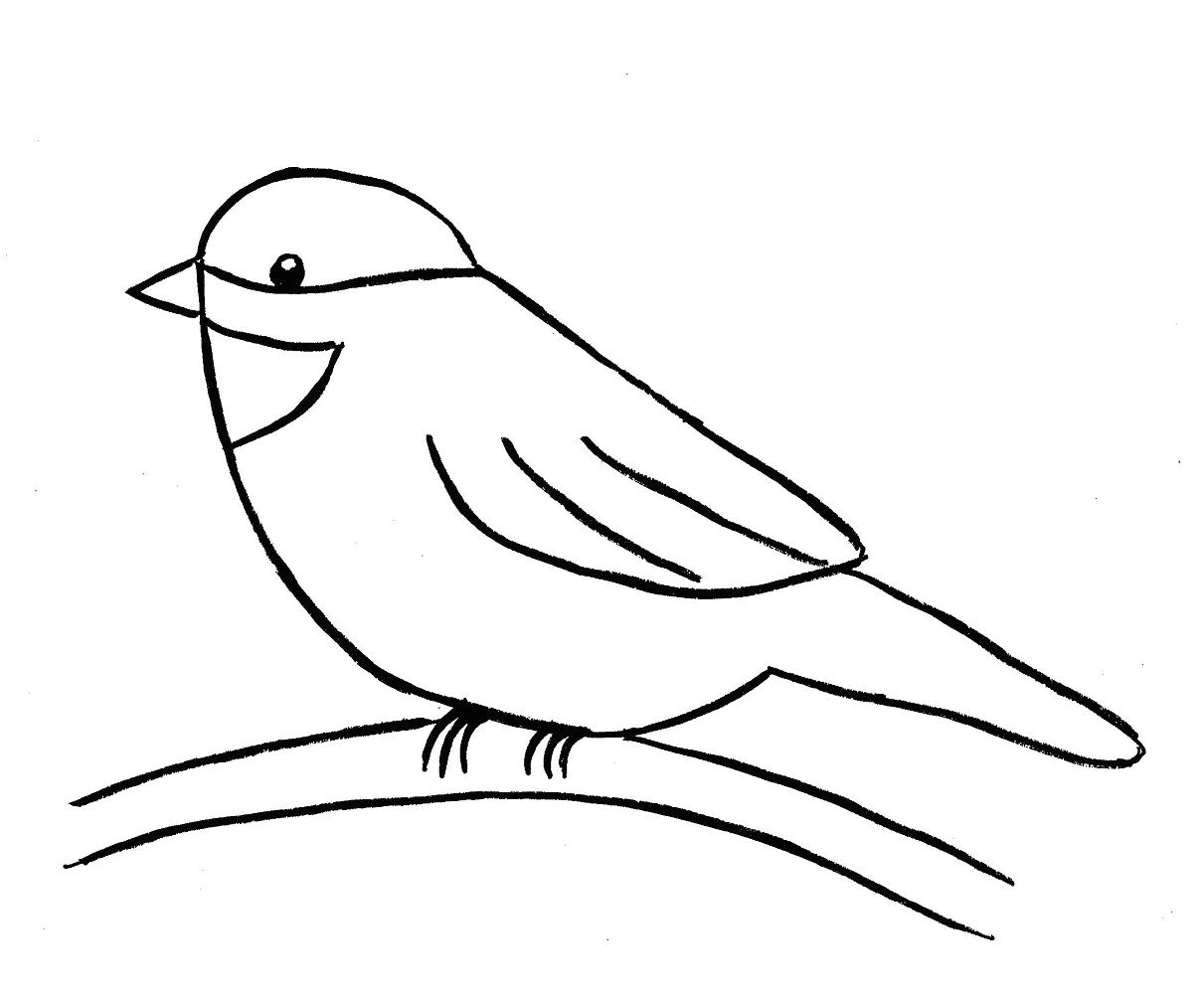 how to draw a bird step by step easy