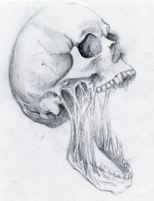 summerdreamz skull drawings badass drawings pencil drawings bone drawing painting drawing